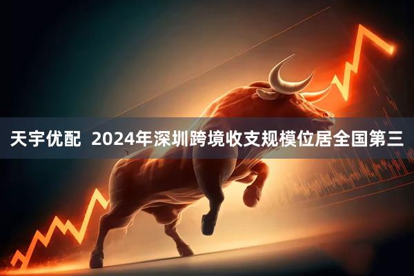 天宇优配  2024年深圳跨境收支规模位居全国第三