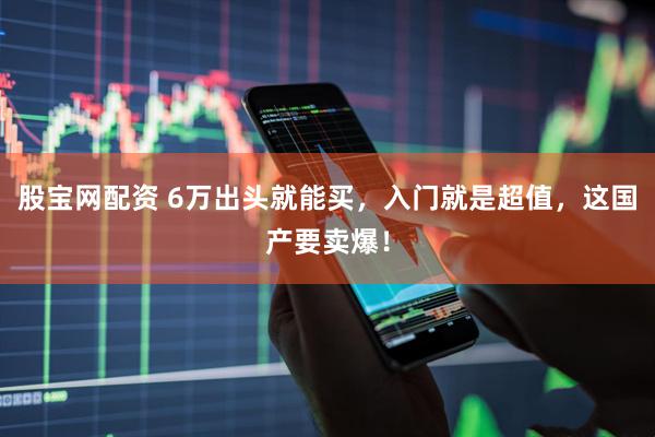 股宝网配资 6万出头就能买，入门就是超值，这国产要卖爆！