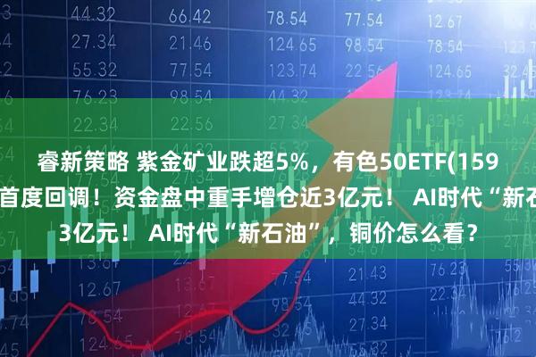 睿新策略 紫金矿业跌超5%，有色50ETF(159652)跌3%，新高后首度回调！资金盘中重手增仓近3亿元！ AI时代“新石油”，铜价怎么看？