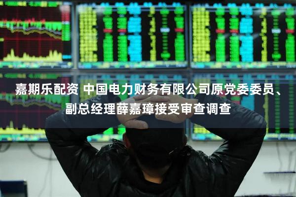 嘉期乐配资 中国电力财务有限公司原党委委员、副总经理薛嘉璋接受审查调查