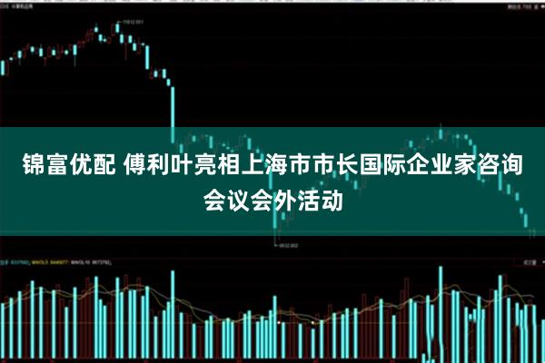 锦富优配 傅利叶亮相上海市市长国际企业家咨询会议会外活动